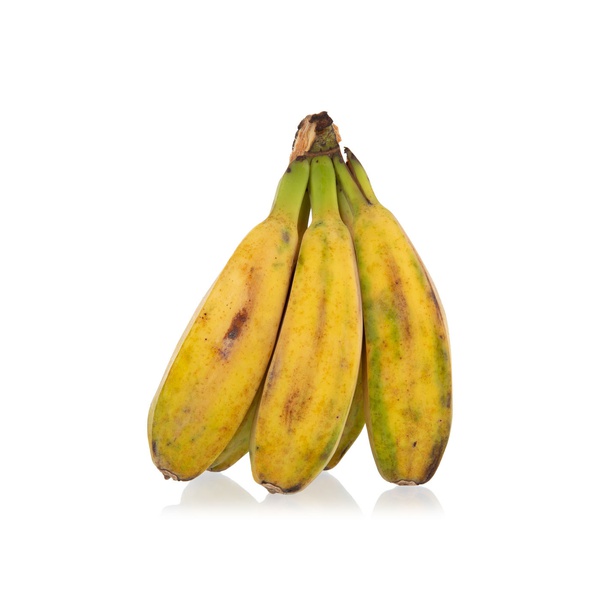 Saba Bananas Philippines